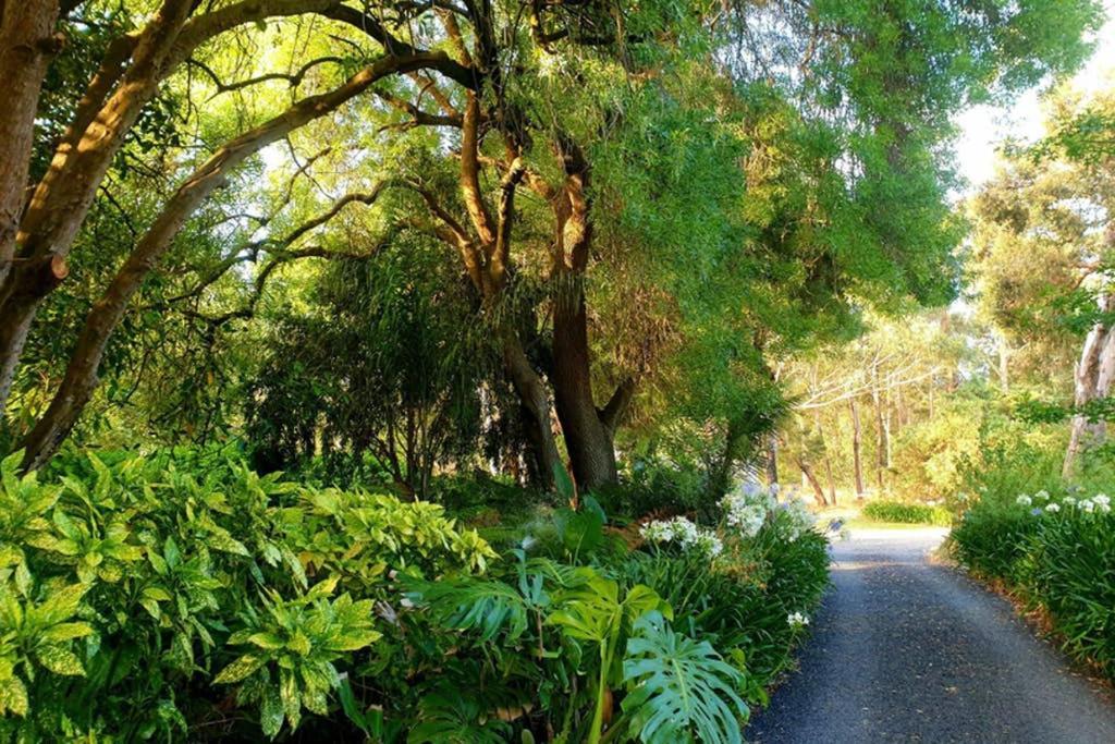 Bella Mia Tuscan Paradise Mount Gambier Exteriör bild